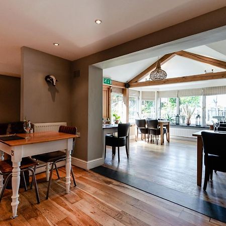 فندق The Golden Lion, Newport, Pembrokeshire نيوبورت المظهر الخارجي الصورة